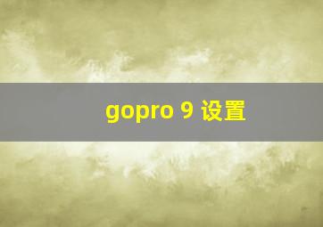 gopro 9 设置